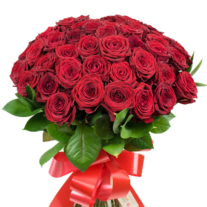 To hold this generous bouquet is to cradle a Stanmore legend-some fifty to sixty deep red roses meticulously arranged by local florists whose expertise has delighted the community for years. Each rose, whether budding or in full unfurl, offers a soft, velvety caress, the spiraling clusters of petals tinted with every shade of crimson: a palette echoing the vibrant charm of Stanmore's private gardens. Between flowers, glossy green leaves glint in the ambient daylight, their rich texture framing every bloom and enhancing the composition's naturalistic grace. The unified stems are expertly tied at the base with a wide satin ribbon, shaded to match the roses and looped into an opulent bow whose trailing ends evoke a hint of celebrational theatre. Every detail, from the tactile plushness of the petals to the framing foliage and flowing ribbon, tells a story of occasion and heartfelt emotion-an ideal tribute for sweep-you-off-your-feet proposals, Valentine's surprises, or simply to say, 'You are cherished,' anywhere throughout the Stanmore area. Lovingly crafted by Flowers Stanmore, this arrangement is designed to transform ordinary moments into treasured memories of love and appreciation.
