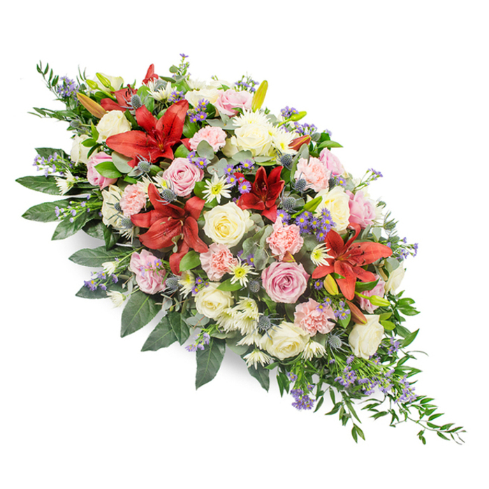 A large, dignified funeral tribute is pictured against a bright white background, making every bloom in this casket spray easy to imagine in detail. The arrangement extends in an elegant, elongated oval, slightly broader at one side and tapering at the other, as if designed to rest gracefully along the top of a coffin at a Stanmore chapel or crematorium. At intervals throughout, deep red Asiatic or Oriental-style lilies stand out as bold focal points, their star-shaped petals opening wide and curling gently, showing rich, velvety tones and a hint of speckling near the centre. Around these dramatic lilies, roses in gentle cream, soft white, blush pink, and subtle lilac hues are scattered generously; some are tight, rounded buds, while others are fully open, displaying layers of smooth petals that express affection, sympathy, and respect. Ruffled pale pink carnations nestle between the larger blooms, creating soft mounds of colour that lend volume and texture. White spray chrysanthemums and small daisy-like flowers with yellow centres lighten the composition, adding neat clusters of brightness. To introduce cooler tones and interesting structure, the florist has placed blue-purple thistle-like blooms and small sprigs of purple or lavender-blue filler flowers, possibly statice or veronica, which give the piece an almost meadow-like intricacy. All of this is anchored in a rich foundation of dark green foliage, including broad, glossy leaves and finer, fern-like sprigs that extend beyond the flowers, especially towards the tapered section, giving movement and depth. The spray feels thoughtfully constructed, the kind of arrangement a Stanmore family might choose to honour a loved one's life with quiet beauty, bringing a sense of calm and remembrance to a difficult day.