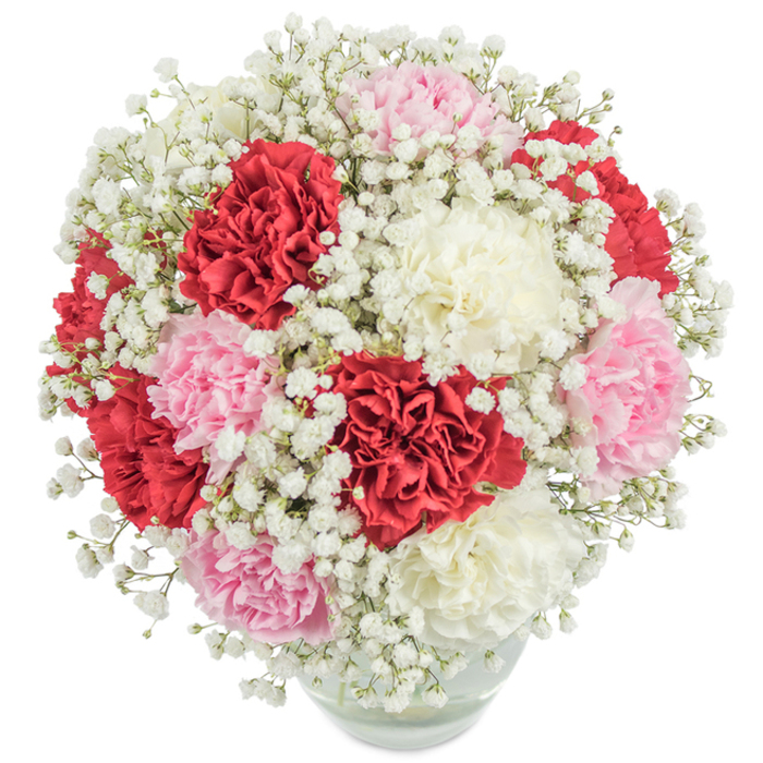 An abundant Stanmore bouquet unfolds in this artful composition, brimming with the timeless romance and freshness beloved by those near Canons Park or along Uxbridge Road. Striking red carnations, their petals plush and ruffled, are gracefully mingled with blush pink and creamy white counterparts, forming a dense, nearly spherical cluster at the arrangement's heart. Thickets of dainty white baby's breath drift between the larger flowers, giving the bouquet a gossamer softness and a surreal, dreamlike quality. All are skillfully cradled within a clear, rounded glass vase-the transparent vessel offering a glimpse of green stems and refreshing water below, anchoring the visual feast above. Photographed under radiant, even light that energizes the entire palette, the display appears vibrant and newly gathered, as though plucked from a morning visit to a Stanmore garden or a stroll through local markets. The careful, even distribution of color and fullness radiates harmony and bountiful charm. Ideal for honoring loved ones, celebrating a milestone, or brightening a local Stanmore home, this arrangement is more than flowers-it is a joyful gesture of admiration and connection, lovingly assembled by expert hands in the community.