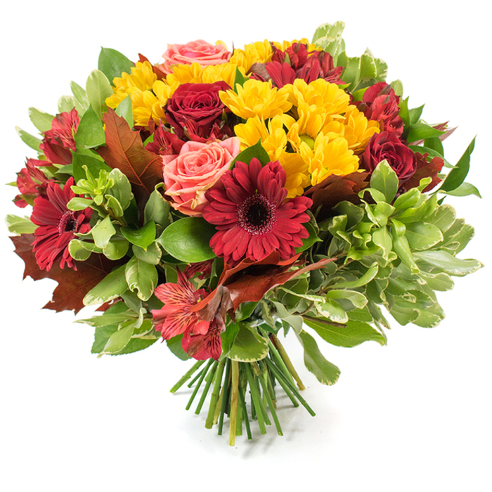 This lush, rounded bouquet is a study in autumnal warmth, presented on a crisp white surface so each colour reads clearly. Dominant, velvety red roses - some unfurled into full, layered blooms, others kept as poised buds - sit alongside dramatic dark-red Gerbera daisies whose flat petals frame intense blackish centres. Scattered throughout are bright yellow chrysanthemum sprays that introduce a lively, textured counterpoint and pull light into the centre of the arrangement. Soft coral-pink roses lend a subtle blush, their ruffled petals offering a gentle transitional hue between the bold reds and the sunlit yellows, while small alstroemeria, freckled in orange and red, create delicate, star-like accents that add fine detail and movement.
A varied palette of greenery provides structure: glossy deep-green leaves form a solid base, lighter, almost variegated foliage breathes air between blossoms, and larger reddish-brown leaves - their bronze tones echoing fallen autumn foliage - are deliberately placed to heighten the seasonal narrative. The stems are neatly gathered and tied, visible at the bouquet's base as a fresh cluster of green stalks that confirms its hand-tied craftsmanship. Bathed in soft, natural light, the petals appear subtly translucent and inviting to the touch, while an implied scent of roses and late-season blossoms lingers in the imagination. Ideal for harvest celebrations, a Thanksgiving table, or as a comforting gift, this arrangement carries a quiet generosity and handcrafted refinement that a local florist would recommend for autumn home décor or heartfelt seasonal delivery to Stanmore homes near Canons Park and the High Street.
