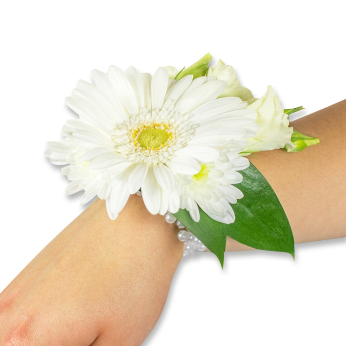 An elegant white floral wrist corsage is displayed at a slight angle on a fair-to-medium forearm against a plain white background, each element shown with precise clarity. The dominant bloom is a robust white Gerbera daisy, its numerous, slightly overlapping petals forming a broad, sunburst profile around a vivid lime-green and yellow centre that bears a textured, almost velvety look. Around this central Gerbera, clusters of small white blooms-reminiscent of spray chrysanthemums or delicate lisianthus-provide softer, clouded volumes that temper the daisy's strong geometry and add depth to the arrangement. Behind and between the flowers, glossy deep-green leaves, likely salal or ruscus, fan out to form a natural backboard, their broader shapes and reflective surfaces creating a striking contrast to the pristine whites. The bouquet is anchored to the wrist by a refined, multi-strand bracelet of pearly beads; the pearls sit flush against the skin and gleam with a satiny luster under the light, lending the piece an air of refined formality. Texturally the composition balances papery petal edges with the plush centers and the sleek resilience of the foliage; one can almost sense a cool, cut-stem fragrance and the smooth weight of the pearls. This classic corsage, composed with care and suited to weddings, proms, or graduation ceremonies, would read beautifully on an aisle in a chapel near Bentley Priory or as an elegant finishing touch for a celebration on Stanmore High Street, where understated local taste often favours crisp, timeless white florals.