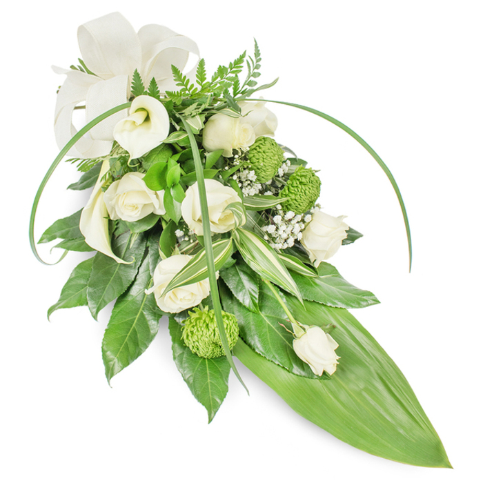A refined teardrop-style sympathy spray in luminous whites and vivid greens, shown against a clean white background to emphasize every nuanced texture. The composition is artful and elongated, tapering to the lower right where a wide, smooth bright-green leaf forms a sleek point that anchors the cascade. At the core, creamy white roses-some unfurled with layered, velvety petals, others gently furled-create a tender, cushioned centre redolent of a soft floral perfume. Two sculptural white Calla lilies sit to the upper left, their satin-like trumpets offering a sense of calm, sculpted grace. Vibrant lime-green button chrysanthemums are interspersed as playful, textured orbs that brighten the palette without disturbing the arrangement's solemn tone. Wisps of tiny white baby's breath (gypsophila) float through the bouquet, adding an airy, cloud-like softness that tempers the richer elements. The greenery is deliberately varied: deep glossy leaves give weight and shadow; variegated foliage with crisp white stripes offers subtle contrast; and feathery fern fronds at the top lend a whisper of woodland freshness. Two long, graceful blades of bright foliage arch across the top, introducing movement and contemporary lines, while a cream, textured ribbon bow at the upper left completes the composition with a formal, comforting touch. This tranquil tribute is often chosen for memorial services and graveside flowers in Stanmore and Canons Park, and its balanced mix of classic whites and lively greens conveys sincere respect, peace, and remembrance.