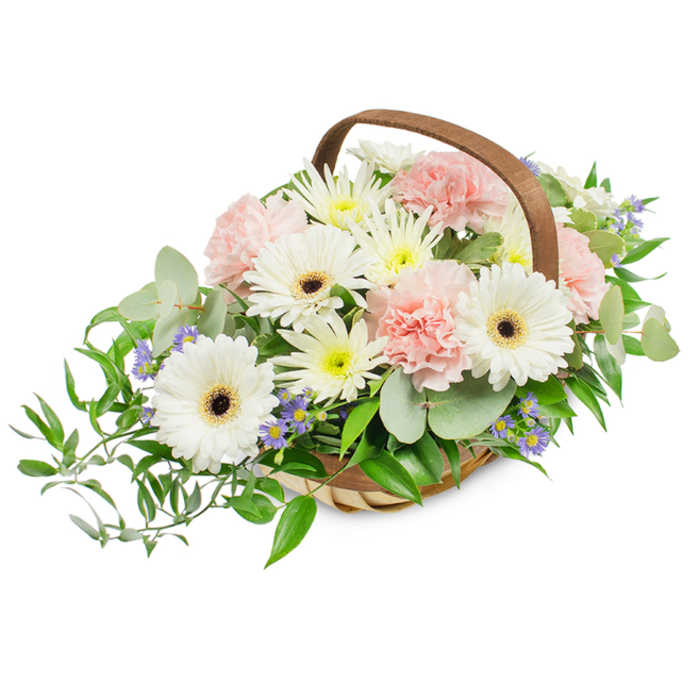 A generously filled, handwoven light-brown basket set against a stark white background, the composition crafted to feel both abundant and composed. The basket's arched wooden handle frames a rounded display where several pristine white Gerbera daisies command attention with their broad, perfectly shaped petals and contrasting deep brown to black centers, creating bold yet serene focal points. Surrounding these are clusters of soft pink carnations whose ruffled, layered petals add a frothy, tactile softness that invites the fingertips. Interspersed throughout are many small white and pale yellow daisy-like blooms - likely spray chrysanthemums or asters - that build a lush, garden-like density and brighten the overall palette. Subtle accents of pale blue to lavender star-shaped flowers peek from the greenery, offering delicate points of cool colour and visual lift. The foliage is thoughtfully varied: rounded silvery eucalyptus leaves give a calming, modern sheen and a faint aromatic presence, while darker glossy leaves and trailing ruscus sweep from the left to create elegant movement. The woven texture of the basket and the gentle, even lighting reveal petal veins, leaf sheen, and the handcrafted grain of the willow strips, lending an artisanal warmth. This balanced, classic arrangement conveys messages of sympathy, gratitude, or quiet celebration and is often chosen for home delivery and memorial settings around Stanmore Common, Canons Park, and nearby residential streets, reflecting the measured, comforting style of a local florist attentive to seasonal freshness and neighbourhood preferences.