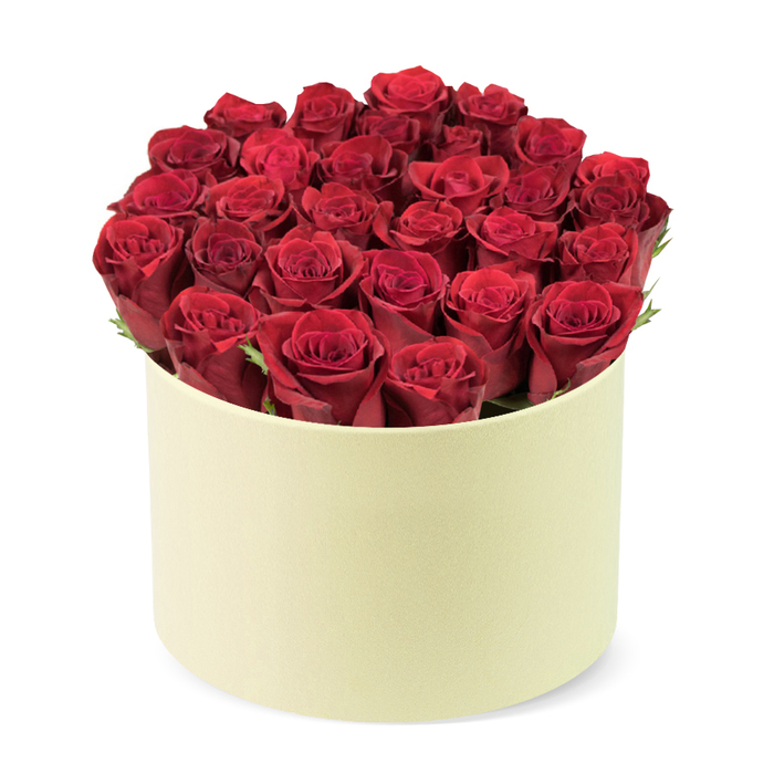 An elegant, densely packed bouquet of deep red roses fills a rounded ivory box with a smooth matte finish. Around two dozen blooms, their heads tightly furled, create a lush dome that rises proudly above the container. Between the flowers, hints of dark green foliage peek out, offering a natural frame and depth, while the off-white box provides a soft, luxurious backdrop that makes the crimson petals glow. The arrangement is captured against a pristine white background, a studio portrait that emphasizes craftsmanship and quality. The light is even and gentle, highlighting the velvety texture of the petals and the subtle spirals of partially opened buds. This gift radiates romance, perfect for Valentine's Day, anniversaries, or a heartfelt expression of admiration. Crafted by Flowers Stanmore for local customers, it speaks to the care we give to our community-from Stanmore Village to the Royal National Orthopaedic Hospital corridor-delivering a moment of elegance right to doorsteps. Available with same-day delivery across Stanmore and the surrounding northwest London neighborhoods, this box embodies luxury, thoughtfulness, and the art of meaningful gifting.
