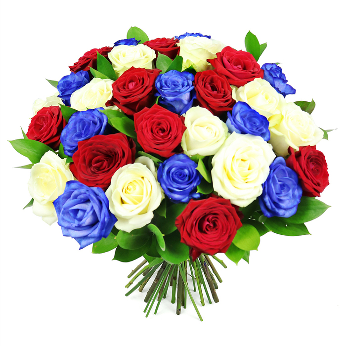 The photograph features a luxurious, domed bouquet of roses, hand-tied into a neat, rounded shape that radiates colour and intention. The entire design is built on a tri-colour palette of deep red, creamy white, and vibrant royal blue, arranged in such a way that each hue is evenly represented. Dozens of rose heads press closely together, some tightly furled, others more fully opened, displaying layers upon layers of velvety petals. The deep crimson roses suggest warmth and devotion, the soft white blooms evoke purity and calm, and the blue roses add a striking contemporary edge, making the bouquet feel especially fitting for patriotic events or memorial gatherings around Stanmore and its surrounding neighbourhoods. Light plays delicately across the petals, bringing out their subtle textures and the gentle curl of each edge, while small pockets of dark green foliage peep out from between the blooms, providing just enough contrast to anchor the vivid colours. At the bottom of the arrangement, a cluster of straight stems is firmly gathered and cut to an even length, the varying shades of fresh green and muted brown underscoring the natural origin of this otherwise polished piece. Set against an immaculate, bright white background, the bouquet stands alone as a strong visual statement. There are no decorative elements or distractions-no vase, no ribbon-only the powerful harmony of red, white, and blue roses, suggesting themes of unity, remembrance, pride, and heartfelt respect, whether displayed on a Stanmore sideboard for a family gathering or presented as a considered floral tribute.
