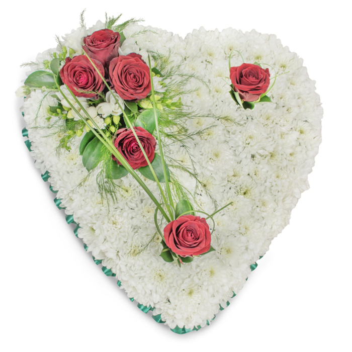 A classical heart-shaped sympathy arrangement composed entirely of small, immaculate white chrysanthemums, each bloom set close to its neighbour to create a seamless, textural plane that reads as soft and consoling. On the upper left a cluster of three deep-red roses forms the emotional focal point, seated amid broad glossy leaves, delicate fern-like fronds and a few slender, arching blades of bright green bear grass that lend movement and flow. Two additional solitary red roses are placed with intention-one near the upper right curve and the other toward the bottom tip of the heart-each given a modest collar of foliage so the crimson tone remains distinct against the white cushion. A narrow emerald-green satin ribbon trims the heart's perimeter, its subtle sheen framing the silhouette and adding a note of solemn elegance. The palette of pure white, deep crimson and emerald feels formal yet tender; the roses' velvety perfume would warm the air gently if the piece were brought close. Overhead lighting produces soft shadows that accentuate the depth and the florist's meticulous technique in creating a balanced, tranquil composition. This traditional memorial wreath is designed to convey deep respect and enduring love at funeral services, a familiar sight for families in the Stanmore area-perhaps delivered to a chapel near Bentley Priory or placed at a service on Stanmore Broadway-offering quiet comfort and a graceful farewell.