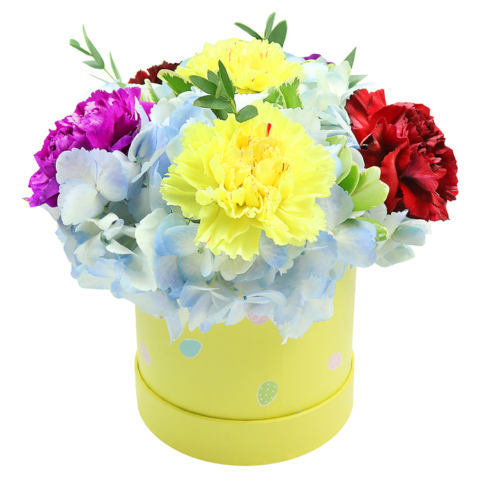 Seen from just above, this round, pastel-yellow gift box overflows with a harmonious mix of textured blooms and soft foliage, a compact arrangement that reads as both joyful and refined. The bouquet's visual centre is formed by two large, ruffled yellow carnations whose petals ripple outward in delicate layers, reflecting a soft, lemon light; they feel almost feathery to the touch and immediately draw the eye. Surrounding them are generous mounds of periwinkle-blue hydrangea, their tiny florets clustered tightly to create a serene, cloud-like mass that cools the palette and lends an airy, romantic quality. To add sculptural contrast, a vivid magenta carnation sits to the left and a deep, velvety red carnation to the right, their saturated hues creating a pleasing triangular rhythm across the dome. Slender green leaflets and light stems weave through the composition, offering texture and a fresh, botanical scent that rounds the arrangement. The lemony box is decorated with irregular pastel polka dots in sky blue, pale pink, and mint, some dotted with white speckles-an uplifting, springtime detail that suggests celebrations from birthdays to new-baby visits. Soft studio light highlights the ruffling of the carnations and the delicate veins of the hydrangea, while shadows between blooms give the composition a three-dimensional intimacy. Crafted with the care of a local shop-Flowers Stanmore often prepares similar designs for deliveries around Stanmore Broadway and for customers picking up after a stroll through Stanmore Common-this bouquet reads as an approachable yet elegant gift to brighten a room or mark a special moment.
