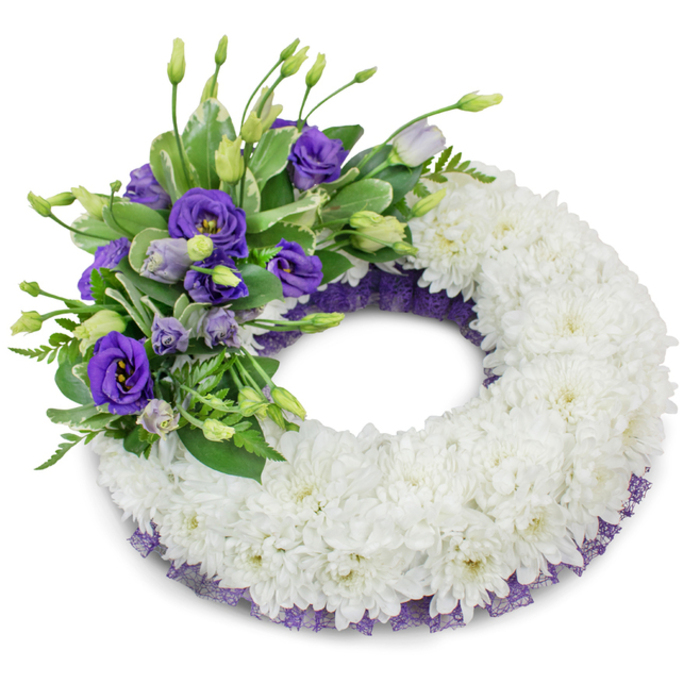 A serene, circular memorial wreath photographed against a stark white backdrop, the sort of composition a local florist might place on a chapel stand near Stanmore High Street or beside a graveside at a nearby cemetery. The wreath's substantial ring is composed entirely of tightly clustered white chrysanthemums whose fine, ruffled petals create a soft, continuous surface that suggests quiet dignity and reverence. From the upper-left quadrant grows an accent of purple Eustoma (Lisianthus) in a range of tones - from velvety deep purple to pale lavender - with several blooms fully open, showing their layered petals, and others held as graceful buds. Interwoven with the purple flowers are fresh green stems and foliage: broad, softly variegated leaves and slender feathery fronds that add dimension and a natural, verdant counterbalance. Running beneath the massed chrysanthemums and visible along both the inner and outer edges is a frilly strip of dark purple mesh or lace-like ribbon, its textured edge lending a touch of formality and refined colour echoing the lisianthus. The soft studio light creates a tender shadow under the wreath, giving it a gentle three-dimensional presence on the white plane. The overall effect is thoughtful and calming, an elegant sympathy arrangement that communicates respect, lasting remembrance, and the careful hand of an experienced florist preparing tributes for families in Stanmore and the surrounding Harrow area.