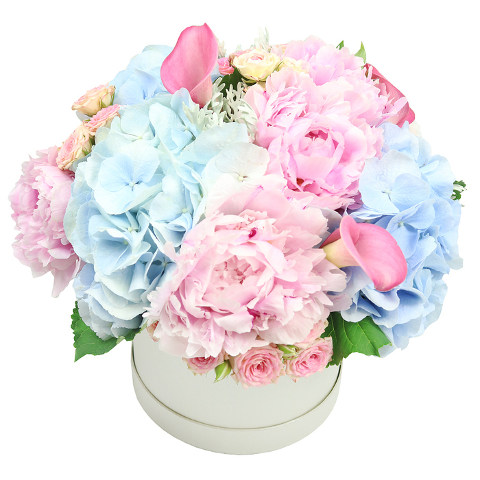 A stunning and luxurious floral arrangement, presented in a elegant light grey, matte round hatbox, is positioned centrally against a clean white background. The bouquet is densely packed and beautifully composed, featuring a harmonious blend of pastel pink and soft baby blue blooms, creating a voluminous and romantic display. The most prominent flowers are large, fluffy pink peonies, displaying their numerous ruffled petals in shades of blush and rose. Interspersed among them are clusters of voluminous baby blue hydrangeas, their intricate florets contributing a soft, airy texture and a cool contrast to the warm pinks. Adding a touch of sophisticated drama are two vibrant pink calla lilies, their elegant trumpet forms rising above the other blooms. Nestled closer to the rim of the box are delicate clusters of tightly budded spray roses in pale pink, adding texture and a classic touch. Subtle hints of silvery foliage, possibly dusty miller, and fresh green leaves peek through, providing depth and a natural feel to the arrangement. The overall aesthetic is one of refined elegance and gentle beauty, making it suitable for weddings, anniversaries, birthdays, Mother's Day, or even gender reveal parties, connecting perfectly with articles about luxury gifting, event decor, or sophisticated home aesthetics. This piece embodies a calm, luxurious mood that can anchor any celebratory moment.
For delivery across Stanmore and neighbouring Harrow communities, Flowers Stanmore ensures a prompt, careful service that respects the composition's soft palette. The reference to a matte grey hatbox lends a contemporary edge to the traditional charm, making it an ideal centrepiece for a reception table, a living room vignette, or a heartfelt gift to mark a milestone.