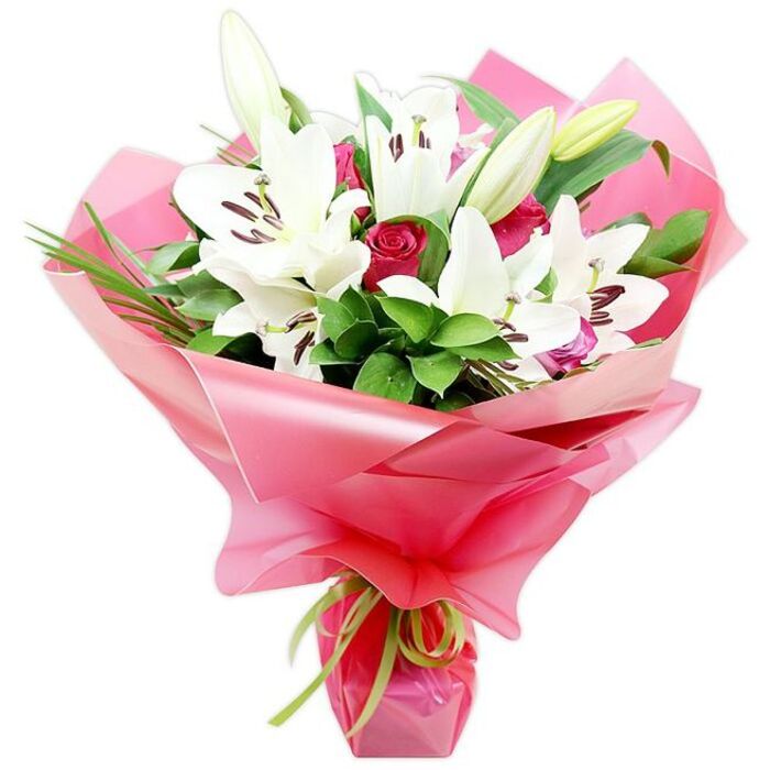 An elegant bouquet of white Oriental lilies and deep red roses is photographed against a simple white background, allowing the intricate arrangement to stand out as if it were a still life painting. The lilies form the star of the composition: some blooms are fully open, their wide, trumpet-shaped white petals arching outward, while others are in the midst of opening, their petals still forming a gently closed cup. At the centre of each lily, dark reddish-brown anthers dusted with pollen rest above subtle speckles near the throat of the flower, giving a sense of natural detail and authenticity. Interspersed among these lilies are clusters of red roses, each bloom dense with velvety petals. Some roses are compact buds, tightly furled, while others are starting to open just enough to reveal their spiralling centres, adding romance and warmth. Rich greenery wraps around the blooms, combining broad, glossy leaves that reflect the light like polished stone with slender, spiky blades of foliage that create vertical interest and movement, similar to the lines of trees and hedges along Stanmore's residential avenues. The stems are gathered into a hand-tied bunch and wrapped in a generous flourish of bright pink cellophane or floral paper, its shiny, semi-translucent surface forming soft, undulating folds that fan out around the bouquet. At the narrow base, a slim lime green ribbon is tied neatly, its tender hue bringing a fresh, modern note that harmonises with the leaves. This arrangement radiates gratitude, admiration, and celebration, perfectly suited for delivery to homes and offices around Stanmore for birthdays, anniversaries, or thoughtful 'just because' moments.