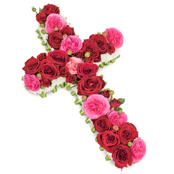 A beautifully composed Christian cross built entirely of fresh flowers is photographed against a clean, bright white backdrop, giving the impression that it is almost floating in space. Every inch of the cross is carpeted with roses, so densely arranged that no gaps or mechanics show through. The dominant flowers are deep crimson red roses, each bloom at full maturity, with thick, velvety petals folding outwards in layered spirals. Their rich, wine-like hue carries a sense of depth and seriousness, echoing long-held love and respect. Between these are woven clusters of vibrant fuchsia and softer pink roses, in a slightly more open, garden-like style that introduces touches of tenderness and warmth. The contrast between the dark reds and lively pinks adds emotional nuance to the tribute, representing both the weight of loss and the joy of a life remembered. Dotted through the arrangement are smaller rosebuds and partially opened heads in matching shades, which subtly lift the texture and suggest the continuity of memory. Carefully framing the entire cross is a narrow border of tiny, pristine white flowers, possibly spray chrysanthemums or carnations, whose small rounded heads create a cloudlike edge that sharply defines the silhouette. Occasional glimpses of green foliage and fine, ribbon-like leaves provide depth without breaking the formal outline. The soft, even lighting ensures that each flower looks fresh, dewy and true to colour, with no harsh shadows. This kind of floral cross would be a fitting centrepiece in a Stanmore church or at a crematorium near Bentley Priory, lovingly put together by Flowers Stanmore as a dignified statement of faith, remembrance and quiet comfort for grieving families.