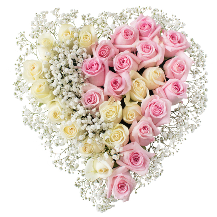 A large heart-shaped floral arrangement composed of roses and gypsophila is shown against a bright white background, its serene palette and meticulous structure making it an ideal tribute for a Stanmore funeral or memorial. The heart is precisely formed, with a clear central divide that separates two complementary moods. On the left half, a profusion of creamy white to light yellow roses is packed closely together so that almost no greenery is visible. Each rose is at its peak, petals thick and soft, unfolding in generous spirals that catch the light and suggest calm, purity, and a gentle farewell. The right half mirrors this fullness, but with roses in a delicate medium pink shade. These blooms are equally open and carefully placed, their colour adding warmth, tenderness, and a sense of cherished memories shared along Stanmore's quiet streets and green spaces. Woven through both sides and framing the entire outline of the heart are fine sprays of white baby's breath (gypsophila). The tiny, cloud-like flowers of the gypsophila fill the spaces between the larger roses, softening the structure and creating a misty halo that enhances the silhouette of the heart. The petals appear fresh and full of life, with subtle sheen and natural curves, indicating recent, careful preparation by experienced hands. The overall impression is one of understated elegance and deep emotion, with the roses and baby's breath working together to convey love, respect, and remembrance. In the stillness of a Stanmore chapel or crematorium, this heart-shaped design would offer a visually gentle yet profoundly meaningful farewell.