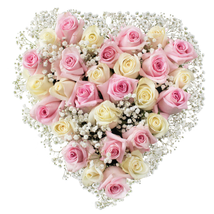 A graceful heart-shaped bouquet composed by skilled florists in Stanmore showcases a generous array of roses-soft pinks mingling with creamy whites, each bloom at different stages of graceful unfurling. The petals, plush and inviting, create a gentle interplay of colour from pale blush to subtle ivory, while delicate baby's breath is woven throughout, its tiny white flowers filling every space with a cloud-like lightness. The arrangement is impeccably symmetrical, its defined heart silhouette shining against a luminous white background that illuminates each tender hue. Designed with care for moments of reflection and tribute, this bouquet captures the spirit of Stanmore's tranquil green spaces such as Bentley Priory, drawing on a sense of continuity and cherished memory. The artistry is evident in every thoughtful touch, from the selection of the freshest roses to the precise placement of gypsophila, resulting in a display that emanates serenity, compassion, and timeless beauty-ideal for funerals, memorial gatherings, or expressing heartfelt condolences across the Stanmore community.