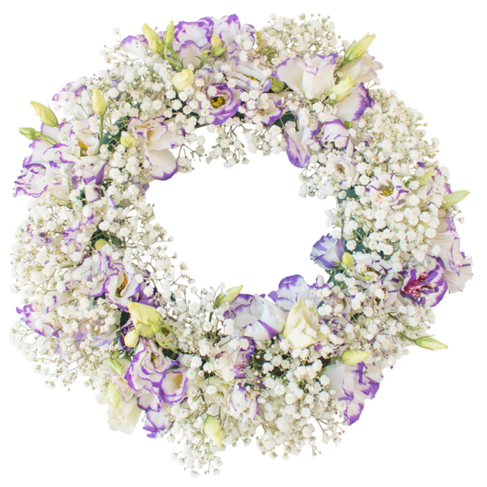 Set against a pristine white backdrop, this circular funeral wreath is captured with clarity, every blossom and curve visible in soft, even light. The wreath's foundation is a dense, continuous ring of Baby's Breath, whose countless tiny white florets give the impression of a cushioned cloud encircling the open center. Their fine, branching stems and miniature star-shaped blooms form a delicate texture, as airy and peaceful as the skies above Stanmore's quiet hills. Interwoven throughout are numerous Lisianthus blooms, larger and more sculptural, providing elegant focal points around the ring. The Lisianthus petals are predominantly white, with gently ruffled edges brushed in shades of violet, lavender, and deeper purple, creating a graceful contrast without overwhelming the eye. Some flowers are wide open, their interiors subtly shadowed, while others are partially closed or held in bud, their pale green stems and creamy tips introducing a hint of fresh growth amid the whiteness. This interplay of tiny Gypsophila and full, velvety Lisianthus creates a wreath that feels both intricate and soothing. No foliage or ribbon crowds the design; instead, the floral elements themselves define the shape and mood. The open center of the wreath is perfectly round and unobstructed, a clear symbol of continuity and eternal connection. This type of arrangement, often prepared by Flowers Stanmore for local services and graveside tributes, speaks in gentle tones of remembrance and quiet love. The overall impression is one of calm dignity, a tender floral embrace offering comfort to those gathered to remember a cherished life.