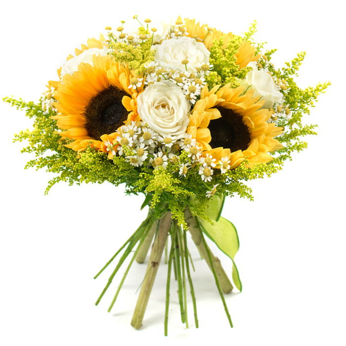 This image shows a lush, rounded bouquet of flowers carefully hand-tied and placed against a pure white background, making the arrangement appear crisp and contemporary while still distinctly romantic. The focal point is a trio of large sunflowers positioned at slightly different angles, their wide, golden-yellow petals encircling dark brown centers with visible seed texture, suggesting late-summer fields and warm afternoons. Interwoven with these sunny faces are several white roses, some still enclosed in tight buds and others opening into multi-layered spirals, their creamy white petals revealing gentle ivory undertones that soften the bouquet's overall appearance. Between the larger blooms, numerous tiny white daisylike flowers, likely chamomile or feverfew, peek out, each displaying a neat yellow center and slim white petals that contribute a light, informal charm, reminiscent of wildflowers discovered on a weekend walk through Stanmore's green spaces. Surrounding the flowers is a cloud of fine, feathery foliage in a vivid lime-green shade, similar to solidago or a delicate filler plant, winding through the bouquet to add texture, volume, and a subtle sense of movement. The stems below are trimmed evenly and gathered closely together, creating a firm handle that is wrapped at the base with a narrow lime-green ribbon. This ribbon is tied snugly in a simple bow or knot, its tail ends falling softly to echo the relaxed, hand-crafted nature of the design. Soft, neutral lighting ensures there are no strong shadows, allowing the bouquet's colours-yellow, white, and green-to appear balanced and harmonious. The arrangement feels joyful and heartfelt, an ideal choice for birthdays, thank you gestures, or congratulating someone on a new chapter of life in Stanmore.