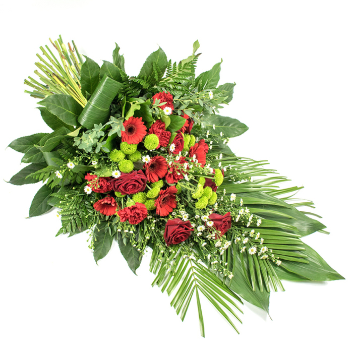 This elegant funeral spray, photographed on a stark white background, stretches in a refined, elongated teardrop shape that feels both poised and gentle. At the heart of the design, velvety deep red roses are clustered together, some just opening and others fully unfurled, their layered petals forming a rich, romantic core. Nestled among them, red gerbera daisies with darker centres add bold, daisy-like faces, while frilled red carnations fill the gaps with soft, overlapping petals, creating a lush, continuous band of crimson. Bright lime green chrysanthemum pompon flowers are scattered throughout the spray, their small, spherical blooms standing out vividly against the reds, giving the arrangement a fresh, modern character that could sit beautifully in a Stanmore chapel or crematorium. Tiny white filler flowers, likely daisies or gypsophila, weave discreetly between stems, lightening the palette and adding an almost cloudlike delicacy. Around this central mass of colour, a generous border of foliage provides structure: broad, glossy dark green leaves offer a solid background, while feathery ferns and other textural greenery give the arrangement a sense of natural movement. At the lower right corner, several long, flat leaves are spread out in a neat fan, accentuating the length and direction of the spray. At the upper left, a small sheaf of straight green stems rises upright, one wide leaf carefully wrapped around them to create a contemporary, almost architectural detail that draws the eye upward. Designed as a casket spray or standing tribute for funerals and memorials in and around Stanmore, this floral composition conveys respect, love, and a deeply felt farewell through its careful balance of traditional red blooms and fresh green highlights.
