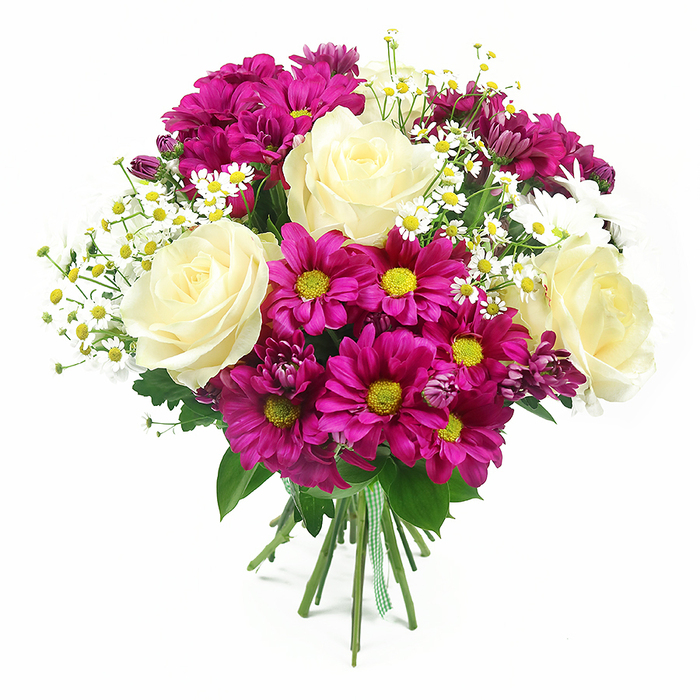 A rounded, hand-tied bouquet is displayed against a brilliant white background, the clean setting allowing the intricate play of colour and form to shine. At the centre of the design are several large roses in a soft cream shade, their petals warming into a faint pale yellow near the heart. Each rose is at full bloom, showcasing that classic spiral of petals that suggests both refinement and natural ease. Surrounding them, rich fuchsia and magenta chrysanthemums open in layered, daisy-like heads, their slim petals radiating around bright yellow-green centres that stand out vividly in the composition. These bold mums bring a joyful, celebratory tone, reminiscent of the colourful borders you might see in front gardens across Stanmore. Woven gently between the larger blooms are delicate sprays of fine white daisies, comparable to chamomile or feverfew, each with a precise yellow centre and slender white petals. These smaller flowers soften the arrangement visually, adding a touch of countryside charm and a sense of airiness, as if a breeze from nearby Bentley Priory Nature Reserve had passed through. A few darker, purple-pink chrysanthemum buds are nestled among the open heads, creating additional depth and a feeling that the bouquet will continue to evolve over time. The flowers sit on a cushion of deep green foliage, including glossy rose leaves and the broader, textured leaves typical of chrysanthemums, framing the blooms and enriching the palette. At the base, the gathered stems are tightly bound and finished with a green and white gingham-style ribbon, suggesting the careful, personal touch of a Stanmore florist. The bouquet radiates warmth, happiness, and gratitude, perfect for placing on a kitchen table, office reception, or coffee table to brighten the day with a sophisticated yet lively burst of colour.