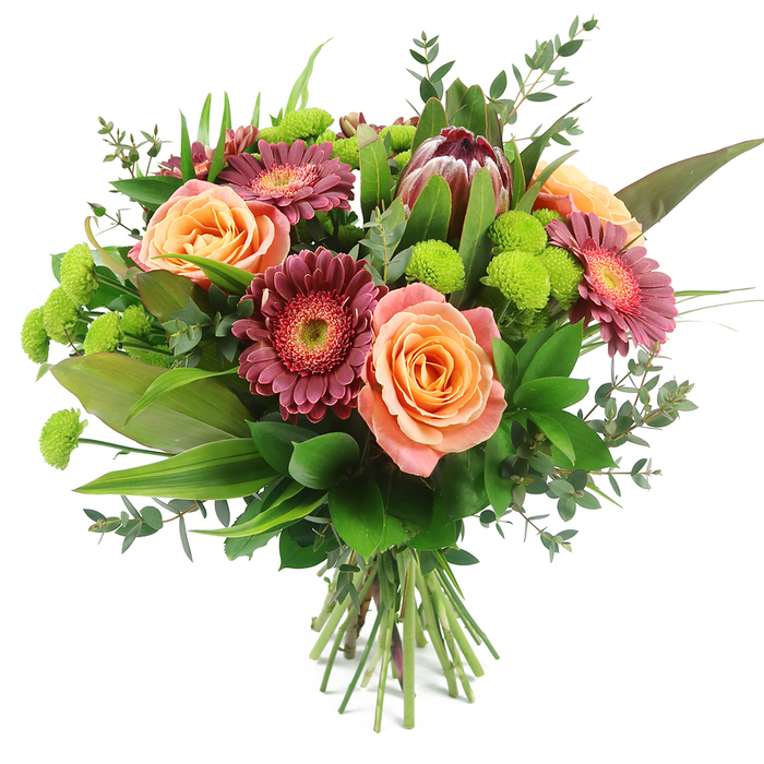 A contemporary, hand-tied bouquet is shown in full detail against a bright, uncluttered white background, each bloom highlighted as if freshly prepared in a Stanmore flower shop. At the centre, generous roses unfurl in layered spirals of soft peach, coral, and salmon pink, with some petals dipping into deeper orange tones, while others fade gently toward a creamy, sunlit edge. Between these romantic blooms, bold gerbera daisies in shades of deep magenta and burgundy stretch their narrow petals outward, framing lighter and slightly textured central disks that offer a handsome contrast. Slightly off-centre, a commanding King Protea becomes the arrangement's signature feature, its sturdy, artichoke-like bracts shaded from reddish-brown to mauve-pink, enclosing a dense inner heart and finishing in delicately pointed, blush-tinged tips. Throughout the bouquet, clusters of lime-green Santini chrysanthemums sit like tiny globes, their tight, pom-pom petals adding a playful structure and a refreshing shot of colour that recalls the bright greens of local gardens around Stanmore and Belmont. The arrangement is richly framed by an assortment of foliage: broad, glossy dark green leaves provide depth, elongated sword-like leaves lend height and drama, and rounded, bluish-green eucalyptus sprigs soften the outlines with their airy, natural feel. The stems are tightened into a clean, hand-tied finish, trimmed to an even length, ready to slide into a favourite vase in a home off Marsh Lane or along The Broadway. This bouquet combines warmth, texture, and modern design, making it suitable for birthdays, anniversaries, congratulations, or thoughtful thank-you gestures delivered across Stanmore and neighbouring areas.