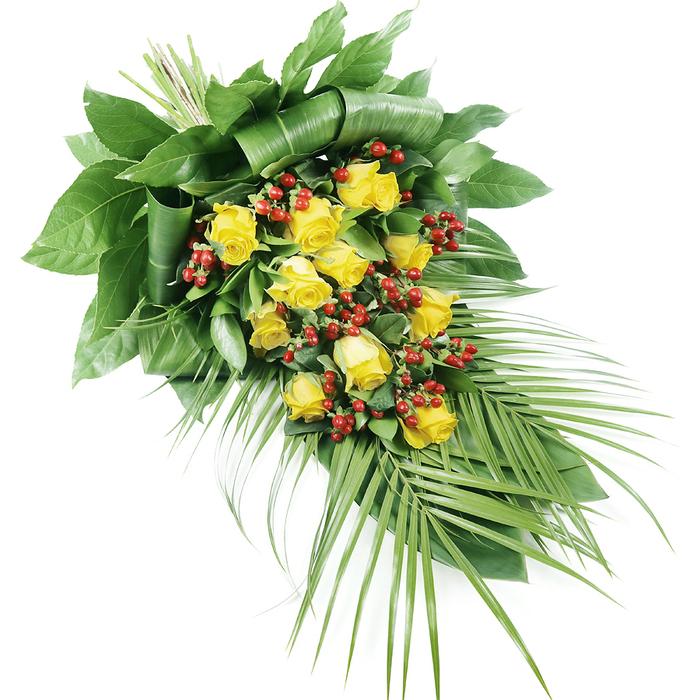 A sophisticated yellow rose tribute spray is laid out on an immaculate white background, highlighting the clarity of its colours and the refinement of its structure. The design follows an elongated, diagonal line, starting from a compact, structured point at the upper left and flowing towards a slender, more open finish at the lower right. Dominating the centre are around a dozen to twenty yellow roses, arranged so that buds, half-open blooms, and full blossoms intermingle. The petals appear soft and slightly velvety, their gentle curves catching the light to create subtle shadows within each flower's heart. Between these golden roses, tight clusters of small, rounded red berries, likely Hypericum, offer a rich, contrasting accent, their deep red tones intensifying the brightness of the yellow. Embracing this mix of blooms is an array of lush greenery. At the top, broad, dark green leaves form a dense, sculpted base, some leaves folded back or wrapped to create clean lines and a sense of depth, echoing the manicured hedges and tree lines often seen around Stanmore's quiet residential streets. From this carefully constructed foundation, the arrangement tapers downwards into long, slender palm fronds that reach towards the lower right, their elongated, pointed leaflets splaying outwards in a gentle fan. The stems are neatly bound and mostly concealed, suggesting meticulous craftsmanship. The lighting is bright and even, allowing every texture-from the satin-like sheen of the berries to the smooth surfaces of the leaves-to stand out clearly. The overall atmosphere is calm and respectful, an ideal floral tribute for a Stanmore funeral or memorial gathering where family and friends wish to express love, remembrance, and a touch of hopeful light.