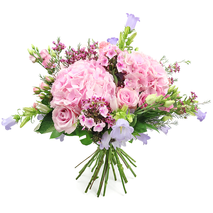 Displayed against a bright white background, this hand-crafted bouquet showcases a harmonious blend of pink and lavender flowers, evoking the calm, elegant character of Stanmore's tree-lined avenues. Dominating the composition are lush, rounded clusters of soft pink hydrangeas, each bloom composed of numerous, finely ruffled petals that crowd together to form plush, cloud-like domes. Surrounding and weaving through these hydrangeas are classic light pink roses, some fully open with intricately layered petals spiralling towards their centres, others still partially closed, giving the arrangement a sense of freshness and gentle progression. Adding grace and vertical movement, slender stems of bell-shaped flowers in hues of pastel lilac and soft lavender-purple-likely campanula or similar bellflowers-rise lightly from the bouquet, their nodding heads creating delicate arcs that draw the eye upward. Interspersed among these larger flowers are small clusters of deeper fuchsia and bright pink filler blooms, reminiscent of waxflower or phlox, creating pockets of stronger colour and intricate detail that contrast beautifully with the softer tones. Framing everything is an abundance of lively green foliage, including smooth leaves and tender, budding stems, which gives the bouquet a full, garden-fresh feel as though the flowers had just been gathered from a well-tended Stanmore garden near the Common. At the base, the stems are gathered neatly and tied, leaving the natural lengths visible in a traditional hand-tied style that suggests quality craftsmanship and care. The overall look is joyful yet refined, perfectly suited for anniversaries, birthday surprises, thank-you gifts, or simply brightening a quiet afternoon in a home near Stanmore station or along Marsh Lane, where soft light can fall across the flowers and bring their colours to life.