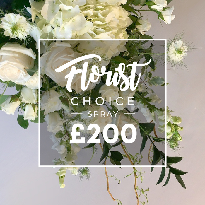 An abundant, garden-style spray of white blooms and lush greenery, this arrangement exudes generous freshness and natural opulence. At its heart lie large ivory roses with softly unfurling petals, some fully open, others in tender buds, their perfume almost tangible in the soft studio light. Surrounding them are voluminous clusters of white and pale-green hydrangeas, creating a sense of depth as if the bouquet grew from a sunlit hedge. A line of slender white flowers-perhaps sweet peas or delicate sprays-cascades gracefully downward, their stems lending motion and grace. Near the upper edges, Nigella (Love-in-a-Mist) with its spiky green calyxes and feathery foliage adds a touch of quirky texture. Interspersed are small white fillers-spray roses or tiny daisies-to complete the tapestry. The varied greens range from broad, dark leaves that trail elegantly to lighter, variegated foliage, with curling tendrils that drift below the main mass for a lively, garden-inspired feel. A clean white square frame sits centered over the bouquet, bearing Florist Choice in elegant script, SPRAY in bold uppercase, and the price ?200 in large numerals. The soft beige backdrop enhances the white-and-green palette and signals the craft of a premium, bespoke piece. Perfect for a grand event, a meaningful tribute, or a refined centerpiece for Stanmore homes and venues, with delivery across the NW London area.