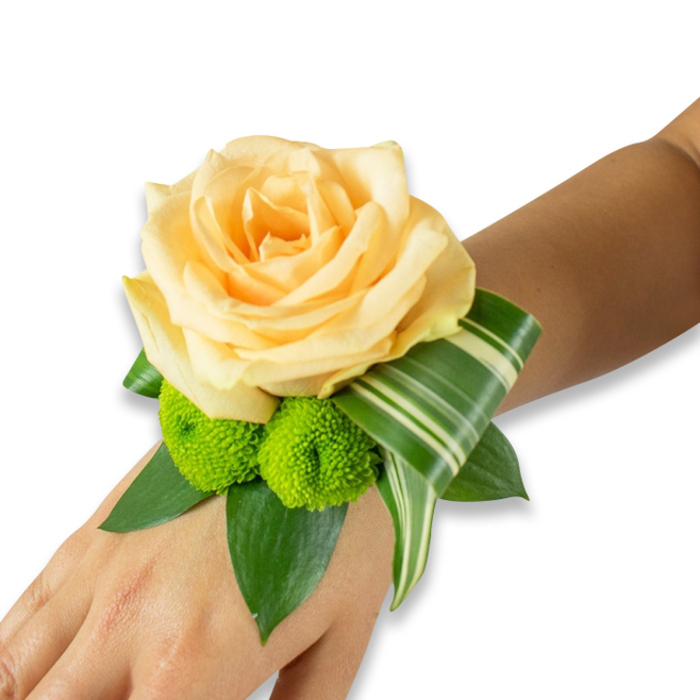 Set against a pristine white background, the corsage is photographed on the inner forearm and hand of a person with warm, light to medium brown skin, the contrast emphasising the arrangement's colours. At its centre a generous peach-champagne rose blooms fully, each petal layered in soft, luminous folds that invite the fingertips to linger. Beneath and slightly to the left, two vivid lime-green button chrysanthemums - compact, almost spherical - provide a playful textural contrast and a fresh, modern pop of colour. The floral elements are supported by an underlayer of deep green foliage: wide, glossy leaves likely ruscus or salal that extend outwards and create depth and movement. An eye-catching variegated leaf, perhaps a ti or dracaena, is skillfully curled and folded so that its pale stripes form a ribbon-like gesture sweeping toward the wrist's side, adding architectural sophistication to the organic shapes. The band or ribbon that secures the wristlet is concealed, producing a seamless composition that appears to float; the overall balance shows careful attention to scale so the piece reads elegant from both close inspection and a distance. There is an implied freshness - the faint, natural perfume of rose and clean-cut greenery - and the corsage projects a quiet, anticipatory mood suited to weddings, graduation ceremonies, or formal dances in and around Stanmore station and nearby venues. This is a handcrafted wristlet that pairs classic romance with a crisp, contemporary edge, perfect for someone wanting understated refinement on a special day.