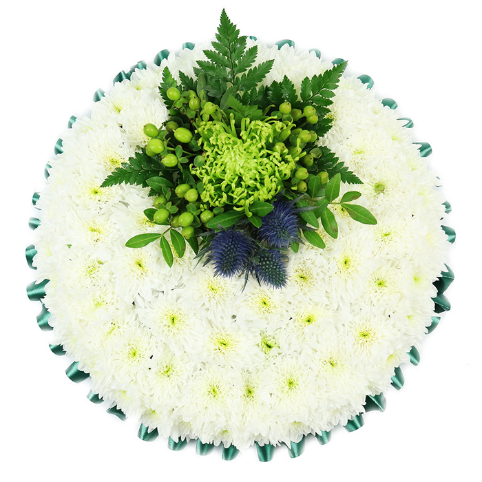 In this image, a circular funeral cushion is displayed from an overhead viewpoint, making its design and craftsmanship easy to appreciate. The cushion's surface is entirely covered with small, white chrysanthemums, arranged so evenly that they resemble a thick, soft blanket of petals. Each bloom has layers of fine, slightly ruffled petals radiating from a gentle greenish-yellow centre, creating a delicate pattern that repeats across the whole circle. The white is bright but not harsh, softened by the natural shading within the petals. Around the outer circumference, an emerald green satin ribbon adds structure and elegance. It has been pleated and folded into neat scallops, providing a defined border and a touch of formality that would sit comfortably in a Stanmore chapel or crematorium setting. Slightly off-centre towards the top is a focal arrangement in vivid greens and cool blues. At its heart, a lime-green spider chrysanthemum bursts outward, its elongated, thread-like petals giving it a feathery, almost firework-like appearance. Clustered around this bloom are shiny green Hypericum berries, nestled amongst dark fern fronds and rich green leaves, which give the centre depth and texture. Emerging from this foliage are two rounded Scottish thistles with spiky bracts and dusky blue-violet heads, offering a striking contrast to the smooth berries and soft white cushion beneath. The thistles introduce a sense of strength and cultural resonance, as if the tribute has been tailored for someone whose story reaches from Stanmore's quiet residential roads to the landscapes of Scotland. Overall, the arrangement feels calm, dignified, and personal-a thoughtful floral expression of remembrance and respect.
