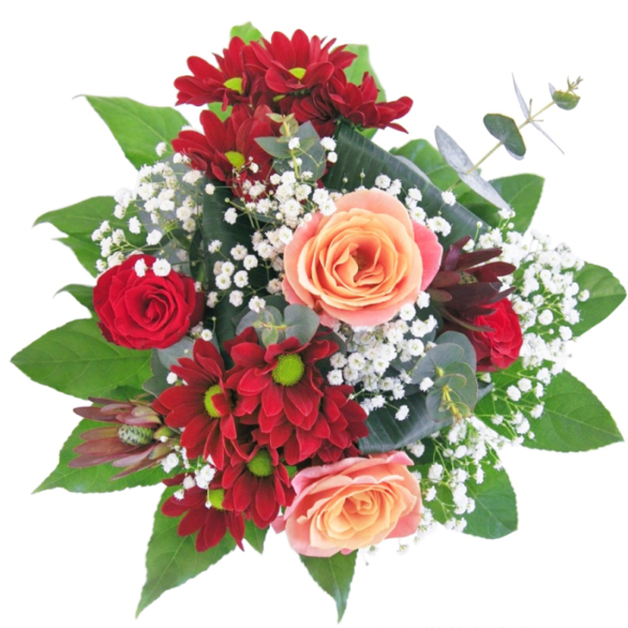 This sublime arrangement, designed by skilled florists in the heart of Stanmore, celebrates the artistry of colour and form. Velvet-red chrysanthemums and tight rosebuds create a scene of unsparing drama, their intensity offset beautifully by the creamy apricot roses that offer refreshing warmth. Sprigs of white gypsophila are artfully tucked between petals, like dewdrops glistening after a spring rain above the slopes of Stanmore Hill. The bouquet's texture comes alive in the hand: silk-soft petals, the crispness of green leaves, and the feathery lightness of gypsophila combine in a tactile symphony. Supported by a clear glass vase, this arrangement takes centre stage-contemporary, elevated, and filled with heartfelt intention. Flowers Stanmore's dedication is felt in every detail, making this an inspired choice for welcoming guests, commemorating new beginnings, or expressing affection in homes from Canons Park to the quiet lanes of Whitchurch. It is both a statement of floristry skill and an embrace of Stanmore's own gracious, vibrant character.