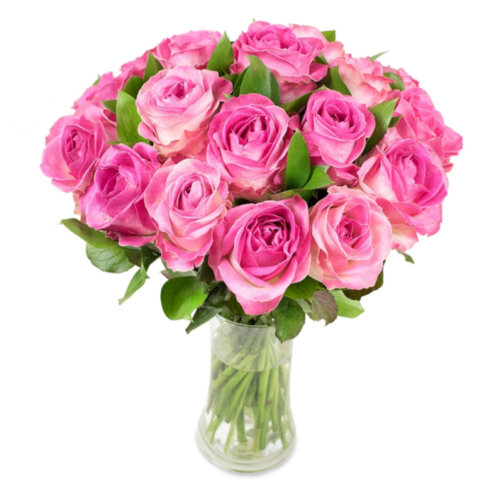 A rich, full-bodied arrangement of roughly two dozen pink roses forms a lush, rounded centerpiece in a simple clear glass vase, shot against a clean white background so the colour gradations stand out. Each rose presents a deeper magenta or fuchsia tone toward its tightly furled centre that gradually lightens to soft blush pink and sometimes a pale cream along the outer petals, producing a delicate ombré that invites a closer look. The blooms are clustered closely, creating a dense dome where individual spiral formations nestle together; between and beneath them, glossy dark-green leaves emerge to frame and support the floral mass. The vase itself is slightly hourglass in profile, allowing the crisp green stems to be seen through the water, neatly trimmed and arranged with intention - a small, honest detail that signals freshness and professional care. Under bright, even lighting the petals show gentle highlights and velvety shadowing, so the texture feels almost tangible and the overall mood is one of refined romance and joyful abundance. I picture delivering this to a family home near Headstone Manor or along Stanmore High Street for weddings, anniversaries, or as a heartfelt thank-you. The bouquet reads as both modern and timeless, an expertly balanced expression of affection and celebration that holds up in photographs, on a mantel, or as a graceful dining-table focal point.