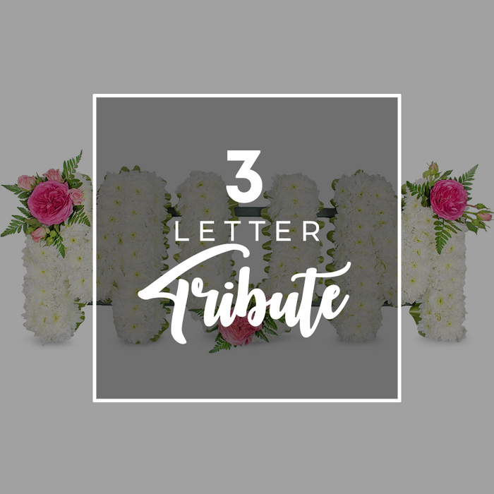 This image captures a carefully composed floral display set against a neutral grey studio background, where a framed 3 Letter Tribute spelling MOM takes centre stage. The three letters have been crafted entirely from tightly massed white chrysanthemums whose small, layered petals create a soft, plush texture reminiscent of snow or fine lace. The florist has arranged the flowers so precisely that the letter shapes are strong and easily read, with neat corners and smooth curves. The palette is predominantly white, yet brought to life by thoughtfully placed accents of pink and green. On the first M, at the upper left, a cluster of roses adds a vivid focal point: a bright fuchsia rose fully open at the centre, encircled by paler pink rosebuds in different stages of bloom, their rounded shapes nestled into the chrysanthemum surface. Feathery sprigs of fern foliage emerge from behind, adding movement and a fresh, woodland green that gently softens the letter edge. The O in the middle is more understated, decorated only by a single pale pink rose at its lower border, giving the tribute a quiet, tender emphasis rather than overwhelming it with colour. The second M mirrors the first, with its accent of fuchsia rose, lighter buds, and fern leaves at the top right, lending the design a pleasing sense of symmetry. Superimposed over the central letters is a white rectangular frame containing clean, white text: 3 LETTER in modern, block capitals, and below, Tribute written in an elegant script that curves gracefully across the petal background. At both the left and right edges of the image, partial glimpses of additional white chrysanthemum letters appear, similarly trimmed with pink roses and greenery, suggesting other names and words that can be composed for funeral and memorial occasions. The overall effect is simple, refined, and deeply affectionate, echoing the kind of custom letter tributes that Flowers Stanmore might create for families arranging services at local chapels or crematoria around Stanmore and Canons Park who wish to remember their mum with soft white flowers and gentle pink highlights.