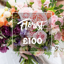 This image shows a sumptuous Florist Choice bouquet captured as if held freshly from the workshop, its personality defined by texture, colour and attentive craftsmanship. Large, garden-style pink roses dominate the scene with layered, velvety petals that open like vintage lace; nestled among them are pale lavender-and-white sweet peas, their delicate stripes adding a whisper of whimsy. Soft coral and peach ranunculus-like blooms bring warm, glowing highlights while creamy white fillers brighten the composition. Pockets of deep plum hellebores or similarly textured dark florets create shadow and depth, striking a balance between romantic softness and dramatic richness. Abundant greenery - from slender trailing stems to broader leafy greens - frames the flowers with a fresh, slightly wild garden feel and a subtle eucalyptus scent implied by the silvery leaves. A white rectangular overlay sits centrally over the flowers, elegantly spelling 'Florist Choice' in flowing script with 'CHOICE' in small uppercase beneath and a pronounced '?100' at the bottom, making the price and bespoke nature of the arrangement immediately clear. The bouquet is gently supported by a person's hands at the base, the light clothing behind them blurred to keep attention on the blooms. As a Stanmore florist might say, this arrangement captures the neighbourhood's relaxed, tasteful charm - perfect for anniversaries, special occasions or as a luxurious, florist-selected gift delivered locally across Stanmore and nearby Harrow.