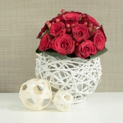 An opulent cluster of crimson-red roses and berries rises from a spherical white wicker vase, creating a striking centrepiece that would sit beautifully on a wedding table in Stanmore or a smart dining room near Canons Park. The bouquet is shaped into a smooth, rounded dome, with each rose placed closely beside the next so that their velvety petals form a continuous landscape of deep red. Some flowers are still slightly cupped, others open wide, revealing intricate spirals at their hearts that draw the gaze inward. Nestled among the blooms are small sprays of red Hypericum berries, their compact, bead-like forms and glossy surfaces catching the light and introducing playful highlights of a slightly brighter scarlet. A discreet collar of dark green foliage at the base gives structure and a soft frame, though the main impression remains one of rich, layered reds. The flowers are held in a distinctive spherical container made from white-painted branches or wicker, woven into an open, basket-like lattice. This airy design allows glimpses of shadow within and creates delicate patterns of light and line on the crisp white tabletop beneath. To the left of the main arrangement, two decorative orbs made from light, natural-coloured wooden strips rest casually, mirroring the vase's open-weave texture but in a softer, beige tone. Behind everything, a neutral-toned wall with a gentle, fabric-like texture sits out of focus, offering a calm backdrop that lets the bouquet command attention. Crafted with care as a wedding table arrangement, this design from Flowers Stanmore radiates warmth and romance, and would make a memorable focal point for celebrations throughout Stanmore and the surrounding area.
