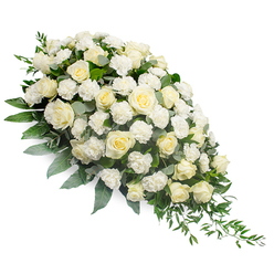 This refined sympathy spray stretches diagonally across a clean white background, its shape forming a gentle teardrop that is lush at the top and slowly tapers to a slender, trailing end. The main impression is one of understated elegance, created by an abundance of pristine white and creamy-ivory roses, each bloom revealing soft, spiralling petals in different stages of openness. Tucked intimately between them, clusters of white carnations contribute a frothy, ruffled texture that adds depth and a sense of tenderness to the whole piece. The flowers are supported by a mix of foliage that brings structure and calm colour contrast: muted, silvery-green eucalyptus is threaded throughout, while darker, glossy leaves and slim ruscus fronds reach out from beneath the blooms and then sweep downward along the lower right edge. This trailing greenery accentuates the spray's tapered form, guiding the eye gently along its length. With no visual distractions, the pure white background highlights the harmony of tones and textures, evoking peace, purity, and quiet reflection. The arrangement feels perfectly suited for funeral and memorial services in Stanmore, from intimate gatherings in family homes to larger ceremonies near Stanmore station or within nearby places of worship. It has the thoughtful, measured beauty of a tribute prepared by a florist who understands local customs and sensitivities, intended to rest with grace beside a casket or remembrance table and to express sympathy, love, and enduring respect for the person being honoured.