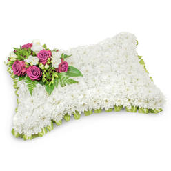 This rectangular floral pillow, composed of hundreds of small, pristine white chrysanthemums, creates the impression of a soft, snowlike surface meant to convey peace and purity at a funeral or memorial. The chrysanthemums are packed so densely that the whole piece reads like a tactile cushion, inviting the eye to rest on its even, cloud-like texture. At the top-left corner a cluster of deep magenta and fuchsia roses forms the visual heart: their lush, sculpted petals unfold with a quiet dignity while sprays of fragrant white freesias and tiny white buds weave lightness through the darker tones. A foundation of fine fern fronds and glossy green foliage cradles the accent flowers, adding movement and a fresh, living depth, while a neatly pleated pale-green satin ribbon trims the perimeter of the pillow and offers a discreet hint of colour and ceremony. Photographed on a clean white ground with soft, natural lighting, the arrangement's dimensions and three-dimensional presence are clear-suitable for placing on a casket, at a church service, or beside a graveside in the Stanmore area. As an experienced local florist, Flowers Stanmore often prepares this kind of tender tribute for families who have held services near Stanmore High Street or at nearby Canons Park, delivering with care and a quiet attention to scent, scale, and the solace that well-chosen flowers can bring.