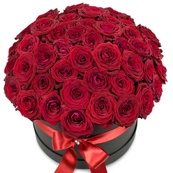 This lavish bouquet of deep scarlet roses brings an air of intimate celebration, shaped with artistry and care in the heart of Stanmore. The flowers are gathered in a perfectly rounded dome, each bloom's velvet-like petals creating a tapestry of crimson hues, glowing warmly against the sleek matte black hatbox. The effect is both modern and timeless, the arrangement whispering of devotion and grand gestures. A wide, radiant red satin ribbon circles the box, fastened at the center front with a meticulous bow whose knot is crowned by a sparkling crystal accent, evoking the elegance often seen at local gatherings and weddings near Stanmore Hill. The pure white background isolates the bouquet, making every undulating petal and subtle shadow more striking. Scent hangs invitingly in the air, reminiscent of nearby Canons Park gardens in full bloom. Assembled by expert florists known by many across Stanmore, this bouquet becomes more than a floral gift: it is a heartfelt message, ideally suited for an anniversary dinner, a Valentine's surprise, or as an unforgettable romantic gesture capturing the spirit and warmth of the Stanmore community.