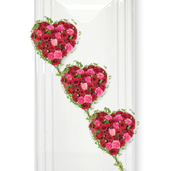 This image captures an elegant sequence of three heart-shaped rose tributes arranged in a gentle diagonal cascade, each heart overflowing with roses in shades of crimson, hot pink, and soft pastel pink. The hearts seem to float against a pure white backdrop, giving the impression of lightness even though they are densely packed with hundreds of blooms. The roses themselves show a beautiful variety: some blooms are tight and domed, others are halfway open, and still others are fully spread, their layered petals forming intricate rosettes that invite the eye to linger. Around and between the hearts, fine ivy vines twist and weave, describing each curve with a delicate green line before continuing downward to link the hearts together in a visual chain of love and remembrance. Small, pointed ivy leaves punctuate this green framework, adding texture and a quietly natural feeling to the design. The clean white background, reminiscent of a polished panel in a Stanmore ceremony space or a dedicated tribute area near Stanmore station, ensures that the intense reds and pinks are the clear focus. Soft, diffused lighting bathes the flowers, allowing their colours to glow warmly without glare, creating a calm, reverent atmosphere. This triple-heart design, crafted with the care you would expect from experienced local florists in Stanmore, feels ideal for a funeral or memorial service, perhaps to represent three generations of a family or the shared love of siblings. Each heart stands complete on its own, yet together they form a single, flowing expression of devotion, memory, and the bonds that remain even after a final goodbye.
