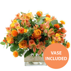 A richly coloured floral arrangement in warm orange and yellow tones is shown front and centre against a flawless white background, its glow reminiscent of sunset light settling over Stanmore's leafy residential streets. At the heart of the bouquet are several prominent orange roses, their petals unfolding in generous, velvety whorls that subtly transition to softer yellow hues towards the middle in some blooms, giving a naturally blended, almost hand-tinted effect. Interspersed with them are bright yellow garden roses, their tightly packed petals forming perfect, rounded blooms that convey a feeling of refined elegance. Weaving gently through the roses are clusters of peach and light orange alstroemeria, or Peruvian lilies, recognisable by their slender, tapering petals delicately marked with fine speckles and stripes, bringing a sense of lightness and intricate detail. Dotting the arrangement at various heights are small, spherical orange flowers with a spiky, thistle-like texture, reminiscent of safflower heads, which add playful structure and a modern twist to the otherwise classic composition. A generous collar of greenery surrounds the flowers: broad, silvery-green eucalyptus leaves create soft arcs around the bouquet, while deeper green filler foliage provides a rich, contrasting backdrop that makes the warm colours stand out even more vividly. All of this is anchored in a clear, square glass vase, whose transparent sides showcase the stems and clean water inside, emphasising freshness and neat craftsmanship in a way that would sit beautifully on a Stanmore dining table or office reception. Around the centre of the vase, a neatly wrapped band of natural burlap or jute adds a rustic, tactile accent that tempers the clean lines of the glass. In the bottom right corner, a bright circular orange emblem with bold white capital letters states "VASE INCLUDED," clearly indicating that this joyful arrangement is supplied exactly as seen, ready for immediate display as a thoughtful gift or cheerful home accent.