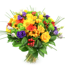 This image captures a joyful, hand-tied floral bouquet photographed against a clean, white backdrop, allowing each shade and texture to stand out with clarity, as though freshly arranged in a Stanmore florist's workshop. The bouquet forms a lush, rounded shape, its density suggesting generous craftsmanship and careful layering. Dominating the arrangement, sunny yellow roses and voluminous yellow chrysanthemums glow warmly, their petals tightly spiralled or softly ruffled, creating the impression of soft, billowing clouds of colour. Interlaced among them, vivid orange gerbera daisies and smaller orange daisy-like blooms offer sparks of energetic brightness, their broad, daisy faces and darker centres giving a contemporary, upbeat feel suited to celebratory deliveries around Stanmore, Canons Park, or along London Road. Deep purple lisianthus snake through the warmer tones, their delicate, cup-shaped petals twisting into rose-like rosettes, supported by hints of lavender and ivory buds that bring gentle contrast and a sense of unfolding life. Lime-green button chrysanthemums are dotted across the display like playful beads, their neat, spherical heads lending textural interest and a refreshing, grassy tone. Glossy red Hypericum berries nestle within the foliage, small and jewel-like, creating pockets of festive colour that suggest birthdays, engagements, or thank-you gifts. Surrounding the flowers, a base of broad, dark green leaves provides a rich, polished collar, while slim, arching strands of ornamental grass extend upward, adding movement and a touch of wildness. The stems at the bottom are aligned and securely tied, signalling a fresh-cut bouquet ready for gifting, ideal to brighten a dining table, mark a special milestone, or bring a burst of colour into a home near Stanmore Country Park.