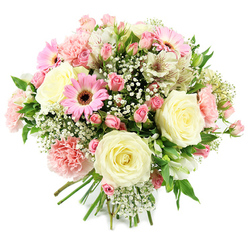 Set against a clean, white background, this lush bouquet appears almost to float in the frame, its cream, blush pink, and bright green tones perfectly balanced in a way that reflects the calm charm of Stanmore. Dominating the centre are fully bloomed cream roses, their petals opening in soft, layered rings that suggest tenderness and devotion. Around them gather clusters of pink spray roses, some still in bud and others half-opened, creating subtle variations in size and shade that add both texture and an intimate, garden-picked feel. Vivid pink gerbera daisies punctuate the design, their precise, flat petals and dark, velvety centres adding a bright, modern twist and a touch of playfulness. Pale pink carnations nestle between these stronger shapes, their ruffled, multi-layered petals giving the bouquet extra volume and inviting the fingertips to imagine their gentle softness. White alstroemeria blooms, with slender petals traced by fine reddish-brown speckles, add a refined flourish that rewards closer inspection, much like the quiet details of residential gardens around Stanmore Hill. Airy clouds of white baby's breath weave throughout, softening the transitions between each flower and lending a dreamy, romantic lightness. The fresh green foliage provides structure and contrast, peeking through like glimpses of shrubbery lining local streets. At the base, the stems are aligned and carefully bound, showing an expert florist's eye for proportion and presentation. The bouquet exudes warmth, optimism, and grace, making it perfect for welcoming a new baby, celebrating an engagement, or simply letting someone in Stanmore know they are cherished with a thoughtfully delivered floral gift.