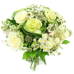 This elegant white and green bouquet is photographed against a clean white background, its rounded silhouette and layered textures clearly visible. At the centre, fully bloomed ivory and cream roses take pride of place, each flower opening in plush, overlapping petals that create a sense of softness and comforting warmth. Interwoven with the roses are eye-catching ornamental cabbages, their distinctive rosettes of ruffled leaves moving from deep, leafy greens at the edges to soft chartreuse and yellow-green in the centre, adding a contemporary garden accent to the design. Tucked around these focal blooms are sprays of tiny white chrysanthemums and daisy-like flowers with fresh yellow-green centres, which brighten the arrangement and lend it a playful, almost meadow-like lightness. Between them, daintier, star-like filler flowers, similar to pale greenish-white astrantia, emerge on slender stems, giving the bouquet a slightly wild, natural feel, as though it had been gathered from a refined country garden near Stanmore Common. Occasional white alstroemeria blooms, gently marked with fine stripes, introduce additional length and elegance, guiding the gaze across the arrangement. All of this is encircled by an abundance of lush foliage in multiple shades of green, which provides depth, contrast, and a calming backdrop for the paler flowers. The stems are visible and neatly tied at the base, creating a classic hand-tied finish ready for a vase on a dining table in Stanmore or for thoughtful delivery to family and friends in the local area. Serene yet modern, this bouquet is ideal for marking milestones, sending get-well wishes, or simply bringing a breath of fresh, garden-inspired beauty indoors.