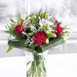 A sophisticated red and white bouquet stands centre stage in a crystal-clear cylindrical glass vase, the stems neatly aligned beneath the waterline like a green tapestry, speaking to the florist's precision and care. At the core of the design, deep red roses unfurl velvet-soft petals, their rich colour echoing classic romance and quiet passion. Nestled alongside, a plush crimson carnation with tightly ruffled edges forms a bold focal point at the front, its intricate layers adding depth and a sense of handcrafted artistry. Interspersed among these ruby tones are luminous white blooms: alstroemeria with fine, painterly speckles inside their petals, creamy chrysanthemum heads, and several ivory lily buds still closed, poised to open over the days ahead and extend the life of the arrangement. Threads of delicate gypsophila drift like tiny snowflakes through the flowers, softening the transitions between red and white and giving the bouquet a cloud-like fullness. Encircling the base, broad, glossy dark green leaves are gracefully wrapped and tucked, forming a chic collar that grounds the design, while slender pointed foliage and eucalyptus-style sprigs rise upwards, creating movement and varying shades of green. The bouquet rests on a pure white surface, with a bright, slightly blurred background that feels like gentle daylight spilling into a Stanmore living room or office near Stanmore Hill, bringing the colours to life. The overall effect is polished yet inviting, perfect for same-day delivery across Stanmore when you wish to celebrate an anniversary, say thank you, or send a meaningful gesture of admiration. Each element appears thoughtfully placed, as if composed by a florist who understands both local tastes and the timeless language of flowers.