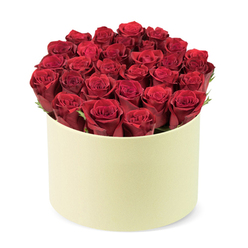 There's something almost poetic about this arrangement-a gathering of lush scarlet roses presented in a champagne-hued hatbox. Each blossom is at its peak, the petals firm and supple, their crimson coloring so vivid it seems to glow in a soft, flattering light. The roses are arranged in flawless symmetry, creating a harmonious dome that feels both luxurious and contemporary. The tactile contrast between the soft, matte finish of the box and the satin-smooth petals enhances the bouquet's allure. Light is gently diffused across the display, inviting you to imagine tracing the edges of the blooms with a fingertip as you breathe in their rose fragrance, delicate yet bold. This composition is ideal for romantic gestures, milestone birthdays, or simply to show deep admiration. The hand-placed stems reveal the care of a Stanmore florist who understands how a gift travels from our studio to a loved one's doorstep, carrying warmth and intention. It arrives with same-day delivery across Stanmore and nearby areas, ready to brighten a doorstep or a hall table with a moment of quiet celebration. Picture it gracing a cosy corner after work on Stanmore's tree-lined streets, or signaling a heartfelt note when delivered to a sweet anniversary dinner across town.