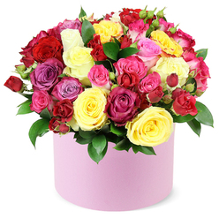 In this radiant hatbox arrangement, roses find their true calling as messengers of affection and celebration. Bright yellow blooms, like captured sunshine, mingle with regal purples and playful pinks, while the heartier reds add a classic touch of romance. The texture is wonderfully rich, each rose unfurling in ruffled layers that tempt the fingertips. Placed in a smooth, pastel pink container, the bouquet gains a modern twist-a stylish nod to contemporary floral artistry that still feels warm and hospitable. The design reads as joyful and deliberate-structured enough to please the eye, soft enough to invite a quiet smile from anyone who holds it. On approach, the bouquet seems to glow against a clean backdrop, its domed crown of petals rising above a sea of greens. The leaves, deep and glossy, provide a lush theatre for the blossoms, their veins catching the light as if dusted with dew. The scent is light and fresh, a gentle whisper of rose that lingers in the room. This arrangement is ideal for birthdays, anniversaries, or a thoughtful gesture to brighten a friend's day along Stanmore's village streets and beyond. With same-day delivery across Stanmore and the wider NW London area, it's a reliable, stylish choice for expressing care without saying a word.