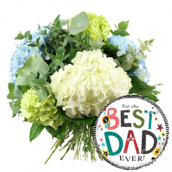 Against a clean, white backdrop, this image captures a thoughtfully composed Father's Day gift that balances elegance with light-hearted fun, much like a relaxed family lunch around Stanmore Broadway. At the centre is a full, hand-tied bouquet of hydrangeas, gathered into a rounded, abundant shape. Creamy white hydrangea heads dominate the middle, their tightly clustered, silken petals forming soft, domed clouds that suggest warmth and appreciation. Nestled between them are light blue hydrangeas, most noticeable along the left and upper sides, infusing the design with a serene, calming tone, reminiscent of clear skies over Bentley Priory. Around the borders and tucked low in the arrangement, lime green hydrangeas provide a vivid, refreshing contrast, especially at the lower left and right, like the vibrant foliage that lines Stanmore's leafy residential streets. Threaded throughout the blooms are sprigs of silvery eucalyptus and darker green leaves, their varied shapes and textures adding depth, structure, and a sense of movement that guides the eye. The bouquet's long green stems are visible beneath, neatly arranged and tied together, showing the careful touch of an experienced florist. At the lower right, slightly overlapping the stems, a glossy round foil balloon completes the set. It features a bright white centre framed by bold black-and-white striped borders, giving a polished but playful appearance. In the middle, the message "For the BEST DAD EVER!" is displayed in mixed fonts and vivid colours-reds, teals, greens, black, and polka dots-accompanied by a small "No.1" rosette motif beside "BEST." Scattered stars and colourful dots in yellow, teal, red, and black dance across the balloon's surface, evoking confetti. Together, the hydrangea bouquet and balloon form a warm, celebratory gift, ideal for delivery across Stanmore to show a father just how cherished he is.