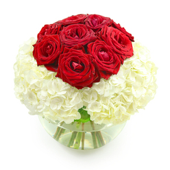 A beautifully composed floral arrangement stands out crisply against a clean white backdrop, inviting the eye to linger on its rich colours and polished shape. At its peak, a cluster of approximately nine to twelve red roses forms a smooth, rounded crown, each bloom boasting velvety petals in a deep, romantic crimson. Some roses are open wide, proudly revealing their intricate centers, while others are partially closed, creating a sense of natural variation that brings the bouquet to life. Encircling this passionate red heart is a generous layer of white hydrangeas, their many tiny blossoms gathered into plump, cloud-like heads. The hydrangea petals are soft and creamy, giving the base of the design a billowy, cushiony look that contrasts gently with the structured elegance of the roses above. Light falls evenly over the arrangement, catching subtle highlights on each petal and enhancing the interplay between bold red and soft white. The flowers are nestled in a clear, round glass vase, reminiscent of a fishbowl, half-filled with fresh water. Inside, the sturdy green stems can be seen, slightly curved and crisscrossing, providing a glimpse of the careful work that holds the arrangement together. This bouquet has a compact, spherical silhouette, perfectly suited to sit at the center of a table for an anniversary dinner in a Stanmore home, or as a romantic surprise delivered to a loved one near Stanmore station. It exudes quiet luxury and heartfelt sentiment, making it an ideal choice for couples marking years together with a thoughtful gesture that feels as enduring as their bond.