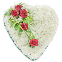The photograph captures a refined heart-shaped funeral tribute, set against a neutral white background that allows every flower and detail to stand out. The heart's interior is densely filled with countless small white chrysanthemums, their rounded petals overlapping to create a thick, cushion-like effect. This uninterrupted blanket of white conjures a sense of quiet purity and stillness, offering visual comfort much like the gentle atmosphere of Stanmore's tree-lined streets. At the upper left curve of the heart, three deep red roses form an elegant spray. Each rose is fresh and velvety, with petals neatly layered in tight spirals, symbolising deep love and respect. Around this trio, the florist has woven in clusters of tiny white filler blooms, likely freesias, and a mix of lush greenery-broad, dark leaves for structure and finer, airy fronds that lend lightness and movement. Two single red roses appear lower down on the right side, set against the white chrysanthemum base so they feel both connected and distinct. Long, slender strands of bright green decorative grass curve gently between these roses, creating an artistic diagonal line that leads the eye across the heart. The perimeter is bordered with a dark green satin ribbon, pleated and secured with care so that it follows the heart shape precisely, framing the central flowers in a polished way. The overall design conveys tenderness and dignity, the sort of arrangement a family might request from Flowers Stanmore for same-day delivery to a local chapel of rest, when they wish to share a message of everlasting love and gentle remembrance through flowers.