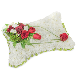An elegant sympathy pillow, expertly arranged to convey comfort and honour, shown here on a plain white surface. The rectangular cushion is completely covered in tightly packed, pure white chrysanthemum heads, creating a velvet-like plane of blossoms whose soft visual texture evokes warmth and peaceful rest. Around the edge a light green ribbon or narrow foliage border subtly outlines the pillow and introduces a whisper of spring green. Nestled at the top left is an intentional, vibrant spray of deep red blooms - rich red roses accompanied by deep burgundy carnations - accented with small clusters of creamy white freesias or spray chrysanthemums that catch light and add delicate fragrance. A backdrop of verdant greenery, from airy fern fronds to glossy leaves, frames the cluster and lifts the reds visually from the white ground. From this main grouping, fine arcs of bright green bear-grass or similar curved foliage sweep diagonally across the chrysanthemum field toward the bottom right, leading to a single, pristine red rose placed as a gentle terminus of the design. The composition balances solemnity with beauty; it feels handmade by a careful florist familiar with local traditions. Available for local delivery across Stanmore and nearby Canons Park, this funeral cushion reads as a respectful, classic tribute - quiet in colour, rich in texture, and meant to comfort families seeking to honour a loved one.