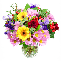 In this photograph, a lavish mixed bouquet is displayed in a simple, clear glass vase set against a clean white background, creating a crisp, gallery-style presentation. At the heart of the arrangement, rich red roses bloom with velvety depth, their spiralling petals suggesting affection and a touch of romance. Close by, two bold yellow gerbera daisies with dark brown-orange centres inject a lively, sunlit energy, like the warmth felt strolling along Stanmore Hill on a bright day. Encircling this central cluster, abundant pink daisies or chrysanthemums spread layer upon layer of slender petals around dainty yellow centres, building a soft, cloud-like fullness that softens the overall shape. Weaving between these blooms are elegant lisianthus flowers in cool purple and soft lavender tones, their bell-shaped blossoms curling back slightly and adding a refined, almost classical note. Nestled discreetly among the petals, small bunches of red hypericum berries form smooth, rounded beads of colour, giving the eye something playful to discover. Around the perimeter, lush greenery in several shades of green-broad, glossy leaves alongside finer, airy stems-acts as a natural frame, echoing the greenery you'd see in gardens near Stanmore Country Park. The clear vase reveals an orderly fan of stems resting in fresh water, a quiet testament to the florist's careful preparation. This bouquet feels perfect for marking life's happy occasions in Stanmore, from birthdays and anniversaries on the Broadway to warm thank-you gestures, offering a balance of joyful colour, texture, and professional polish that would sit beautifully on any dining table or reception desk.