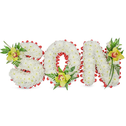 This intimate floral tribute presents the word 'SON' in three-dimensional block lettering, each letter densely covered in small, pure white chrysanthemums that produce a smooth, cloud-like texture conveying dignity and purity. A continuous band of vivid red ribbon is worked into scalloped loops around the outer edges and within the 'O', creating a heartening contrast that reads as both comforting and courageous. Placed deliberately on the 'S', in the hollow of the 'O', and on the upper stroke of the 'N' are three pale lime-green Cymbidium orchids: their waxy petals, delicate veins and reddish-brown throats provide a warm focal point against the ivory-white chrysanthemum surface. Lush green foliage and fine fern fronds accompany each orchid, their glossy leaves lifting the composition and introducing natural height and flow. The chrysanthemums give a soft, barely sweet scent while the orchids add that clean, wax-like note; together under soft, even lighting they create a composition that is visually and emotionally balanced. The arrangement is presented on a plain white background so the workmanship and symbolism remain the centre of attention-perfect for a funeral service, graveside placement, or sympathy tribute. Crafted with local care in Stanmore by Flowers Stanmore, this style is often requested by families attending services near Stanmore Tube and the memorials around Canons Park, reflecting a desire for elegant simplicity and a clear, loving message in floral form.