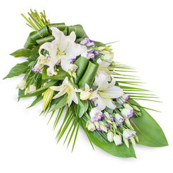 A graceful sympathy spray stretches across a stark white background, designed in a sweeping diagonal that begins with a generous head of flowers and gently narrows to a slender point. Dominating the arrangement are several white oriental lilies, some opening fully so their broad, satin-like petals and pale stamens are clearly visible, while others remain as long, tapered buds that lend a sense of poise and stillness. Between these lilies, clusters of soft white lisianthus appear, their bell-shaped petals rimmed with delicate lavender or light purple tones, with faint veins adding a suggestion of watercolour-like shading. Numerous small buds punctuate the design, giving a sense of life quietly unfolding. The flowers rest on a rich bed of foliage: wide, glossy, dark green leaves create a grounding base and a lush backdrop, while long, slender fronds, reminiscent of palm leaves, fan outward and gently curve, emphasising the elongated shape often chosen for funeral sprays. Some leaves have been carefully rolled and folded into sculptural twists, revealing the practiced craft of a local Stanmore florist accustomed to preparing tributes for services at nearby chapels and crematoriums. The palette of pure whites, cool greens, and soft lavender accents creates an atmosphere of calm dignity, similar to the hush of an early walk through Bentley Priory Nature Reserve. The mood is one of quiet respect and heartfelt remembrance, suitable for resting atop a casket, beside a framed photograph at a memorial, or at a graveside service for families in Stanmore and the surrounding neighbourhoods.